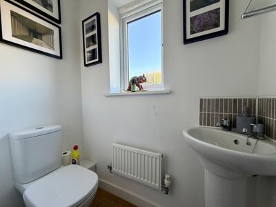 Picture 9